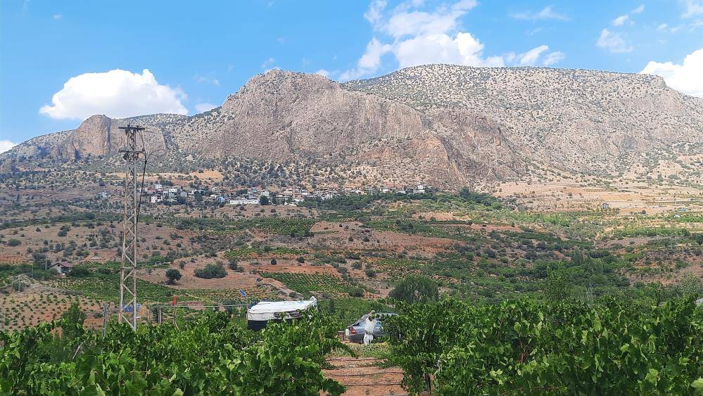 Konya’nın üzümüyle ünlü ilçesinde en tatlı imece 3